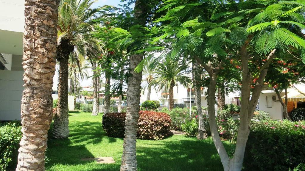 ארונה Primavera Appartement Tot 7 Personen Ideaal Voor Backpackers מראה חיצוני תמונה